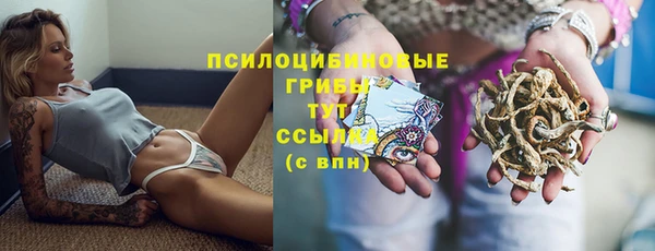 ALPHA-PVP Дмитриев