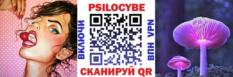 где можно купить наркотик  Северобайкальск  Псилоцибиновые грибы прущие грибы 